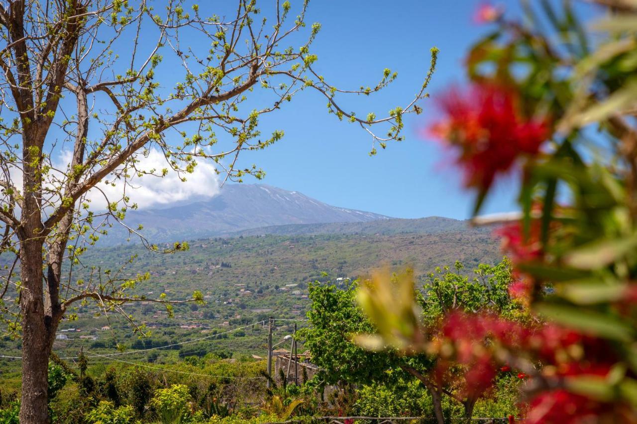 Il Giardino Country Holiday With Pool تاورمينا المظهر الخارجي الصورة